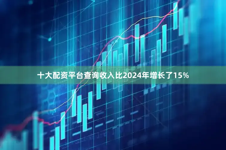 十大配资平台查询收入比2024年增长了15%
