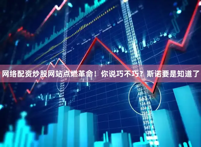 网络配资炒股网站点燃革命！你说巧不巧？斯诺要是知道了