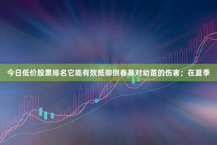 今日低价股票排名它能有效抵御倒春寒对幼苗的伤害；在夏季