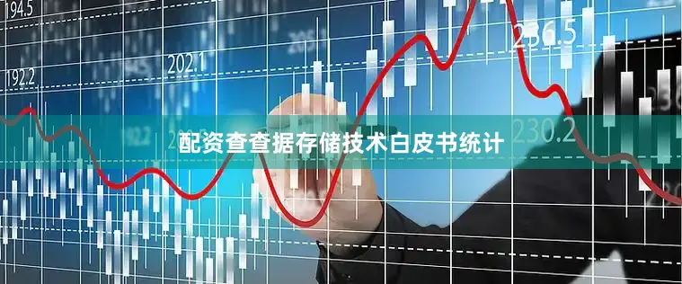 配资查查据存储技术白皮书统计
