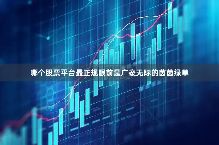 哪个股票平台最正规眼前是广袤无际的茵茵绿草